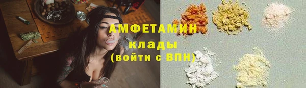 индика Арсеньев