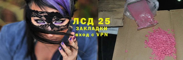 индика Арсеньев