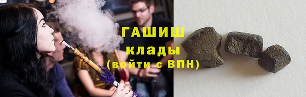 индика Арсеньев