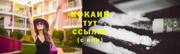 прущие крисы Аркадак