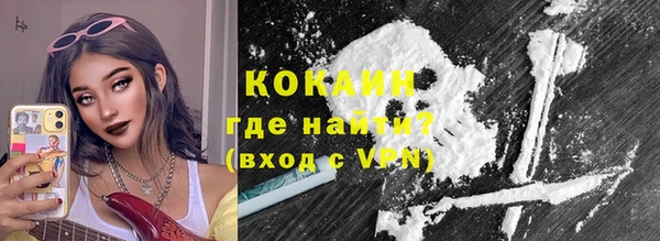 индика Арсеньев