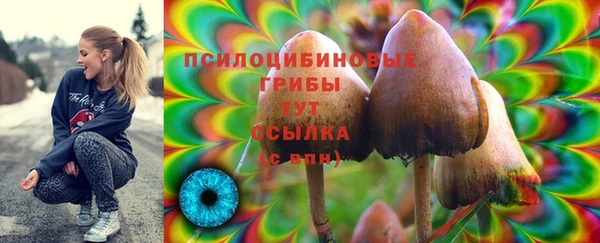 индика Арсеньев