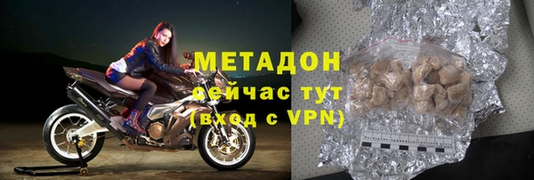 индика Арсеньев