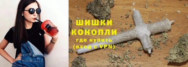 индика Арсеньев