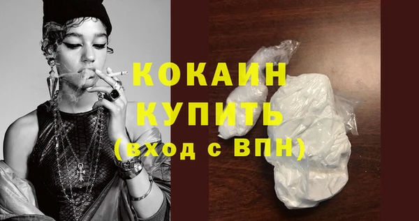 индика Арсеньев